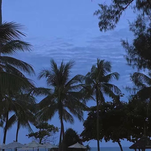 美女裸体调教自慰以高品质查看
