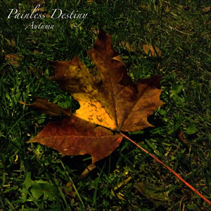 美女裸体调教自慰以高品质查看
