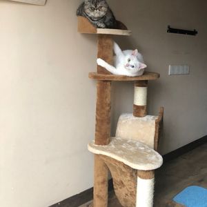 美女裸体调教自慰以高品质查看
